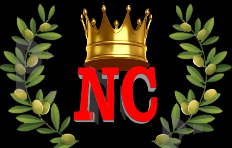 Nativa Champion's logo