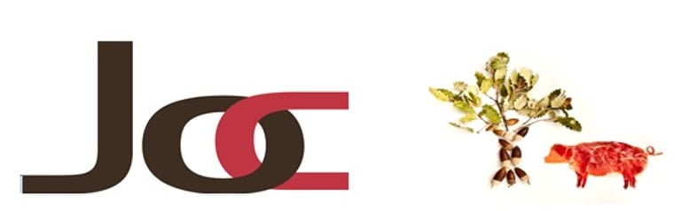 JOC logo