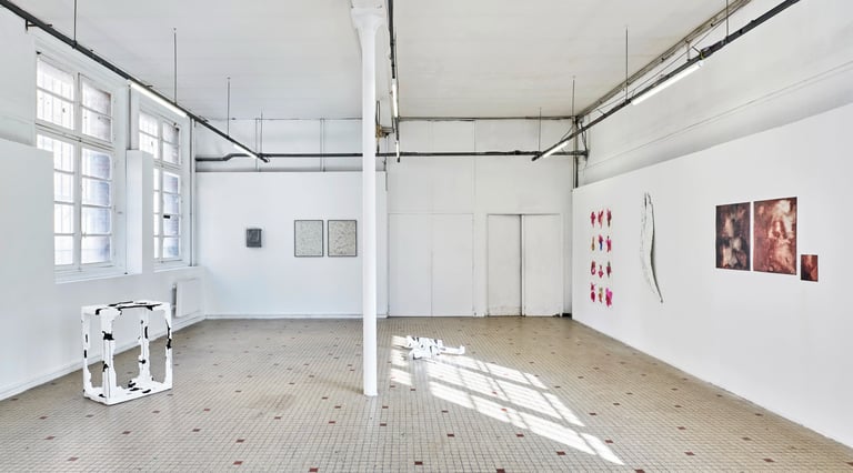 le rocher de Sisyphe - DOC 2026