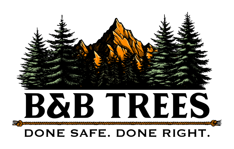 B&B Trees logo