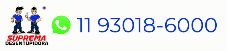 Uma Desentupidora Feita Pra Você logo