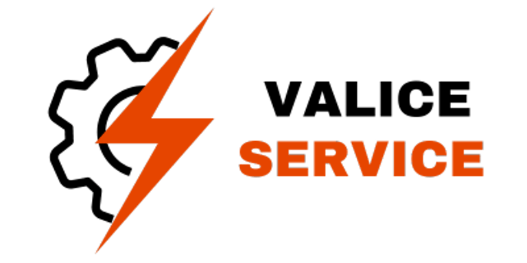 Valice Service logo