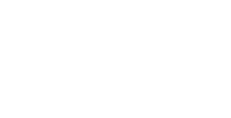 Pulso 84 logo