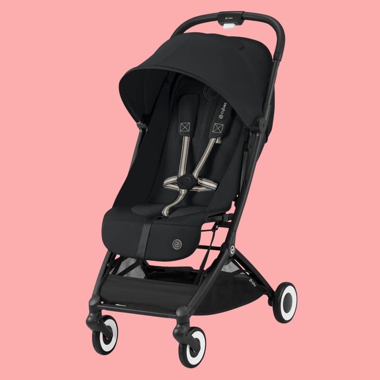 Explore Japan with Sakura Stroller Rentals for Easy Travel