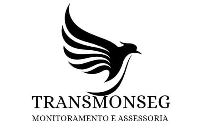 TransMomSeg logo
