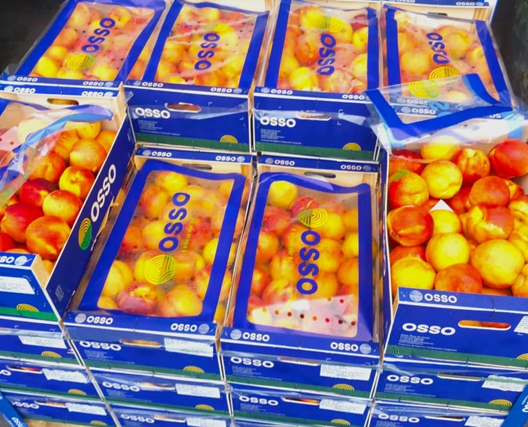 Skrzynki z brzoskwiniami lub nektarynkami w opakowaniach marki OSSO