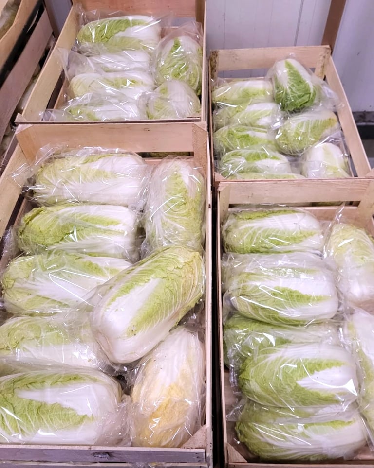Pakowane kapusty pekińskie w folii, przygotowane do sprzedaży w sklepie spożywczym.