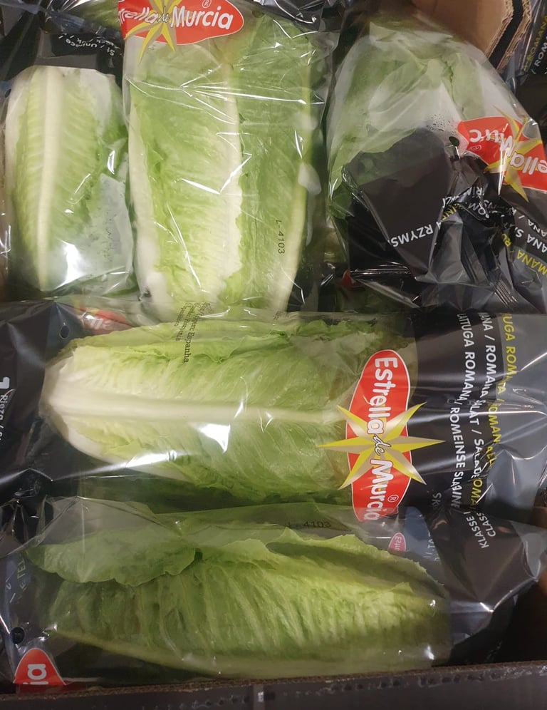 Zapakowane główki sałaty rzymskiej z etykietą Estrella de Murcia.