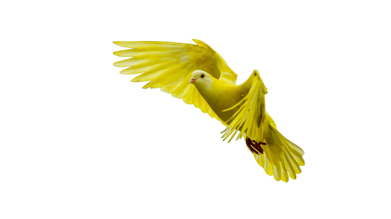 Mc2Flooring Online services logo