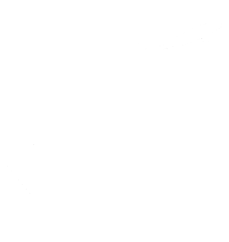 BM Decoy logo