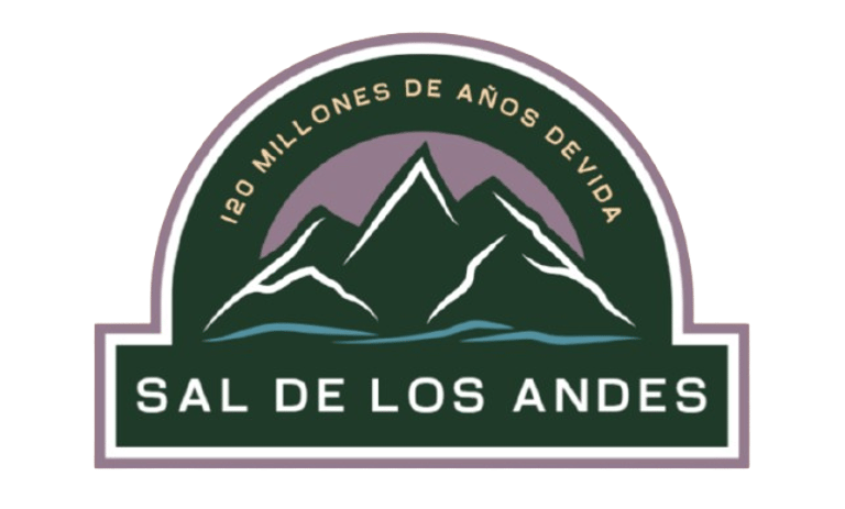 Sal de los andes logo