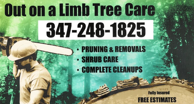 Out On A Limb Tree Care LLC logo