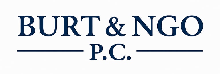 Burt and Ngo - Court Defense logo