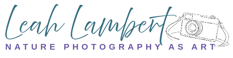 Leah Lambert Nature and Landscape Photography logo
