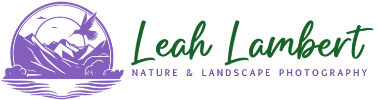 Leah Lambert Nature and Landscape Photography logo
