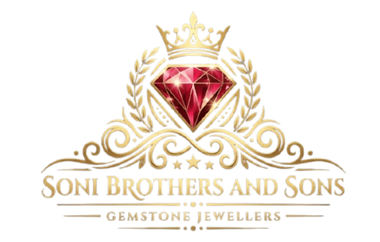 Soni Brothers and Sons logo
