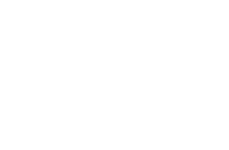 Stony Point Market logo