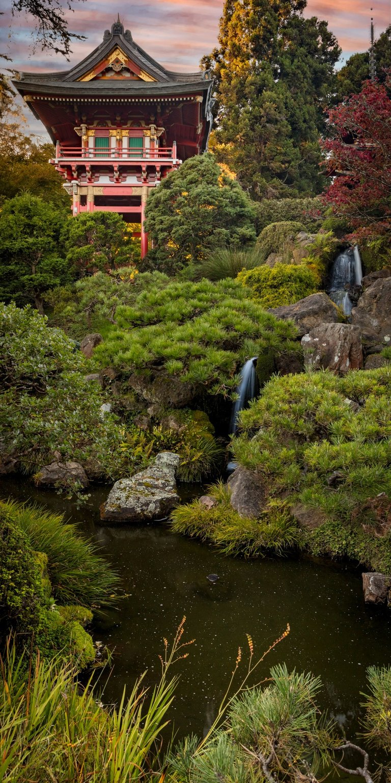 EVENING IN THE GARDEN