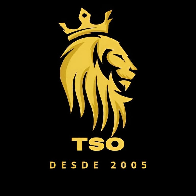 TSO Serralheiria logo