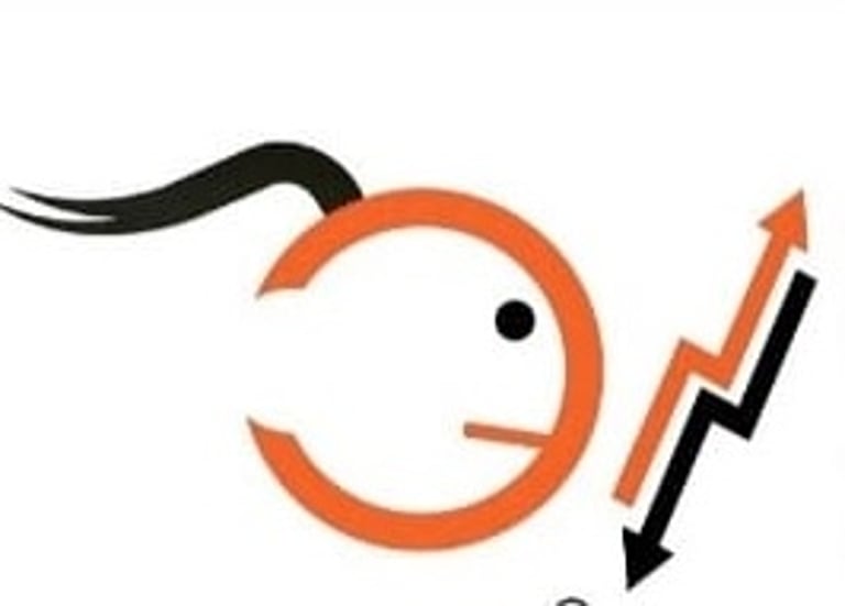 chanakya stock market training institute logo