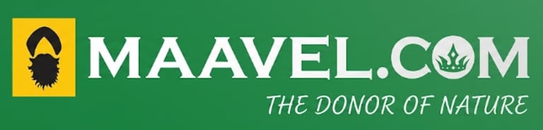 SwasthaVeda logo