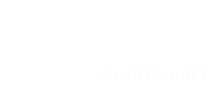 Vizart logo