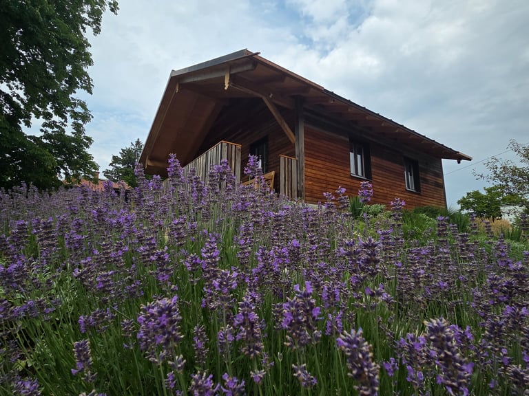 Holzhaus mit Balkon hinter einem blühenden Lavendelfeld.