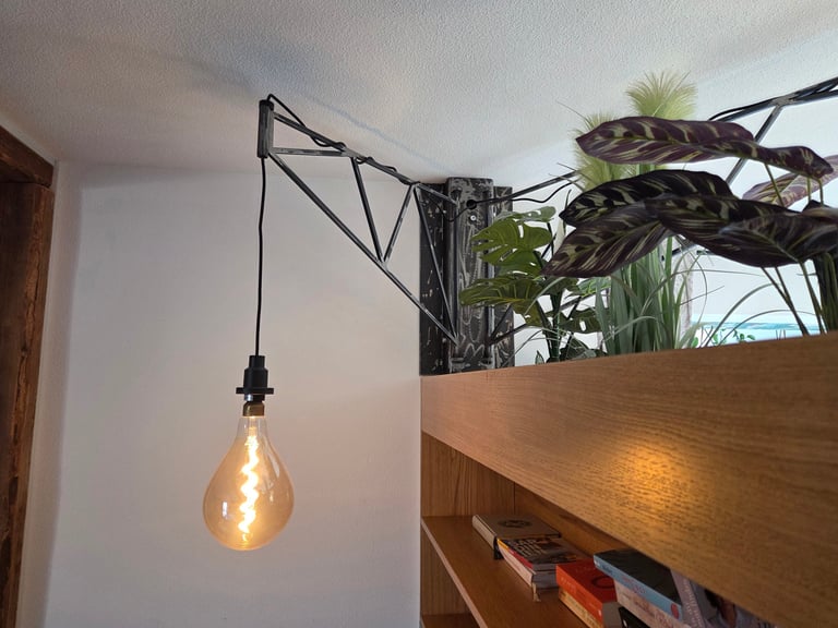 Industrial-Wandlampe aus Metall mit großer Edison-Glühbirne über maßgefertigtem Holzregal mit Pflanzen und Büchern.