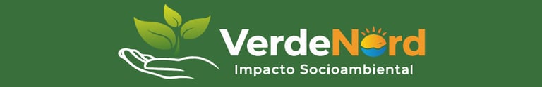 VerdeNord Soluções Ambientais logo