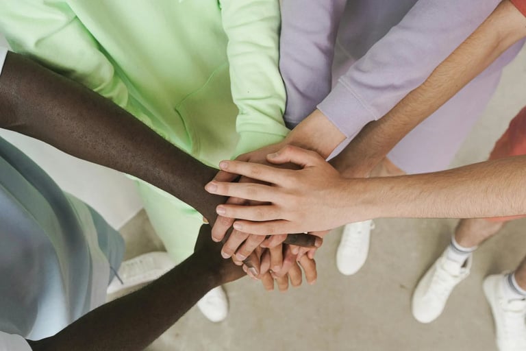Skool - La quête des sentinelles