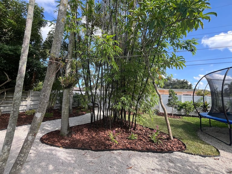 Landscaped backyard garden with bamboo privacy screen, white gravel path, and mulch flower beds.