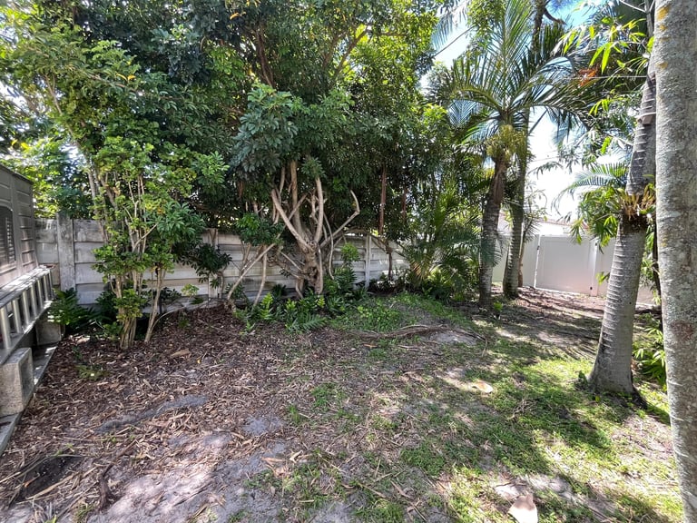 Tropical backyard garden with lush palm trees, green foliage, and a white fence under bright sunlight.