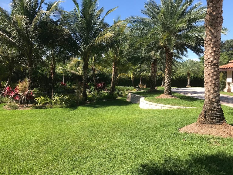 Tropical backyard landscape featuring a lush green lawn, palm trees, and professional garden masonry.