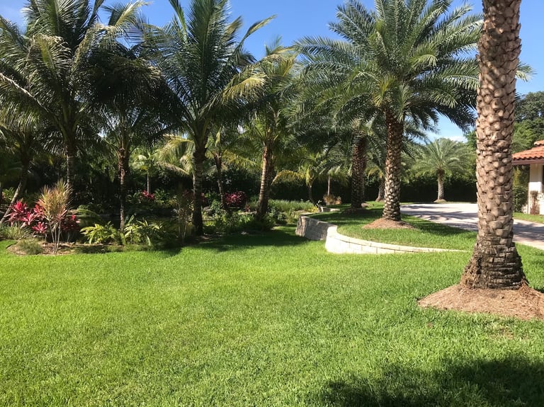 Lush tropical landscaping with green grass, palm trees, and colorful plants surrounding a garden path.