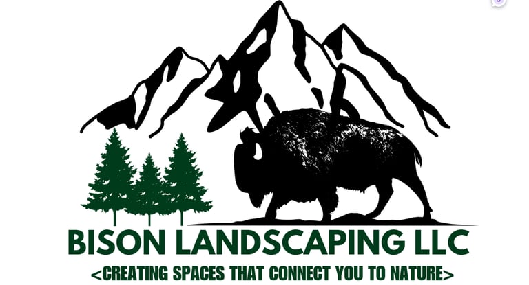 Crescendo Digital logo