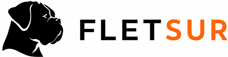 Fletsur logo