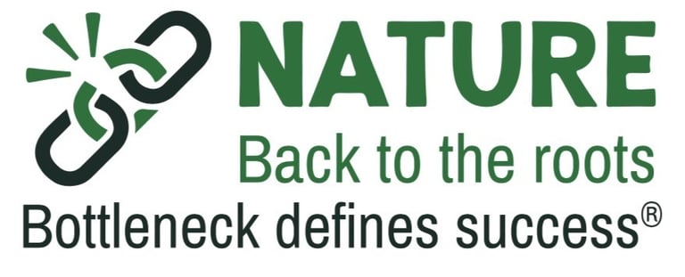 Doringer Technologies logo