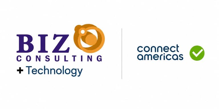 BIZ Consulting logo