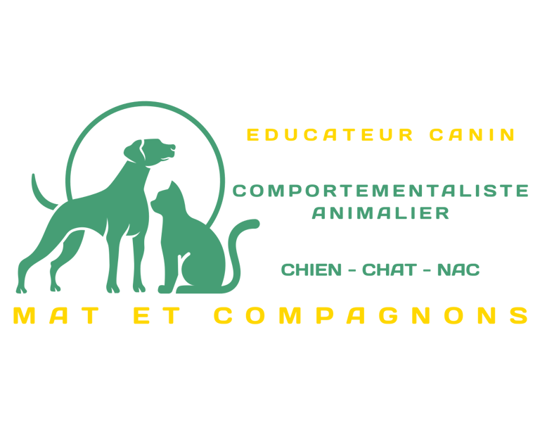 mat et compagnons logo