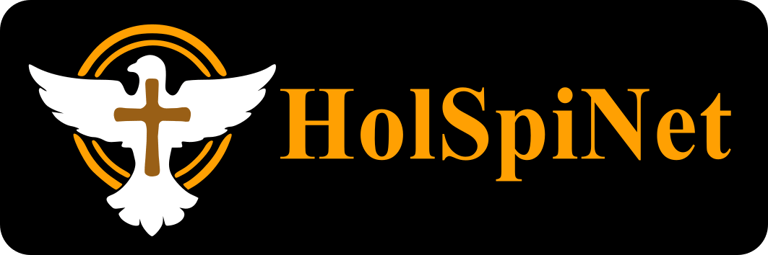 HolSpiNet logo