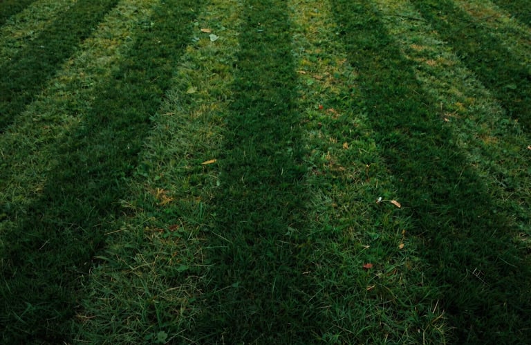 A top-down abstract photograph showing perfectly symmetrical lawn stripes in alternating shades of deep forest green and leafy green.