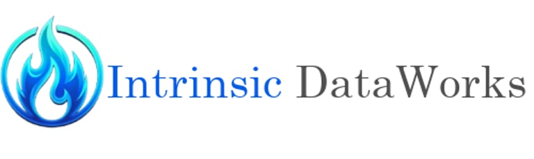 Intrinsic DataWorks logo