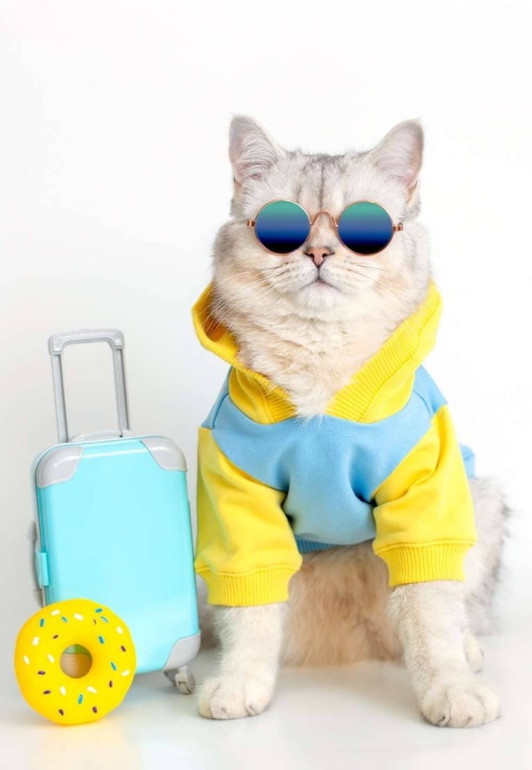 Gato peludo con gafas de sol y una sudadera con capucha sentando al lado de una maleta de viaje azul, flotador de dona
