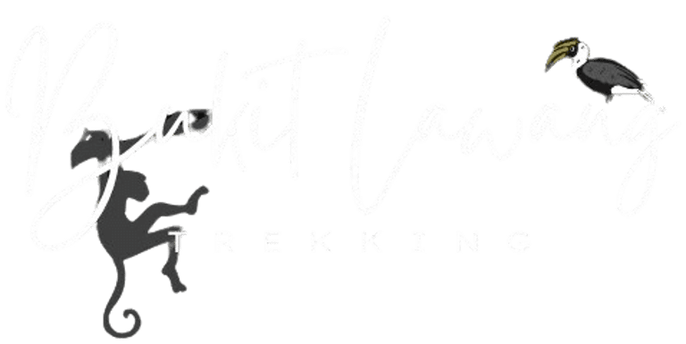 Bukit Lawang Trekking logo