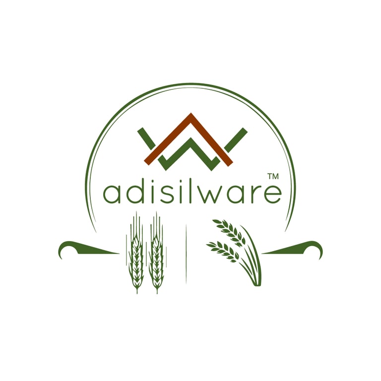Adisilware logo