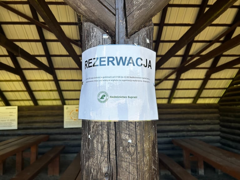 Supraśl, Podlasie, Kopna Góra, Żubr