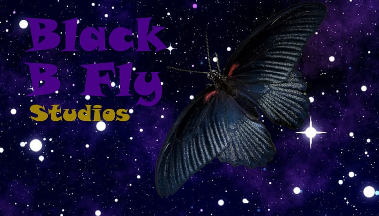 Black B Fly Studios logo