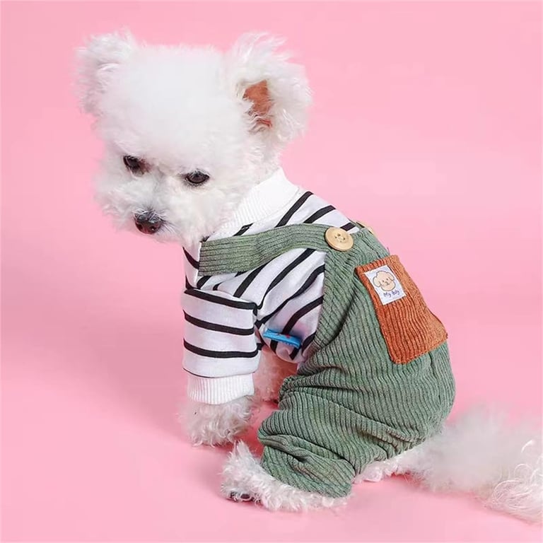 Perrito blanco con una camiseta a rayas y un overol de pana verde para mascotas, sobre un fondo rosa.