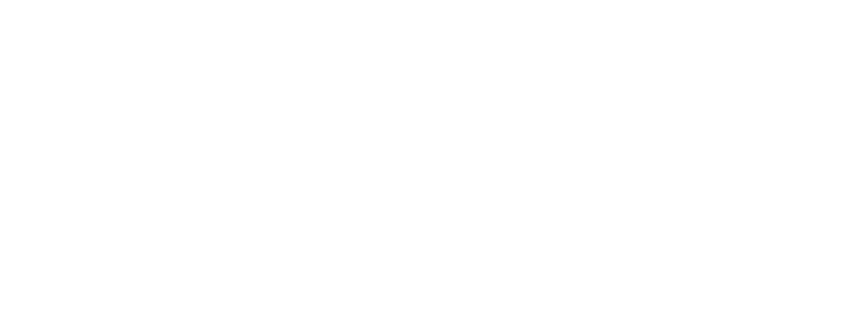 VerdeNexus logo