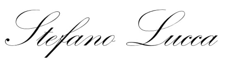 Stefano Lucca Coaching logo